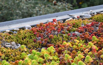 the cost of Beer green roof installation