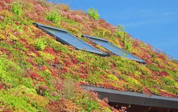 Beer living roof systems