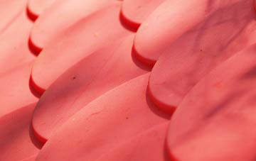 Beer plastic roof costs