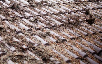 Beer roof cleaning companies