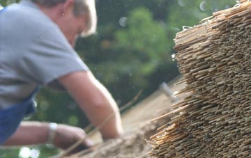 professional Beer thatchers